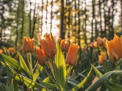 AI 광고소재 디자인 전문 서비스 #17