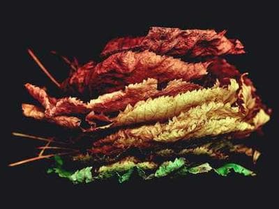 AI 광고소재 디자인 전문 서비스 #20